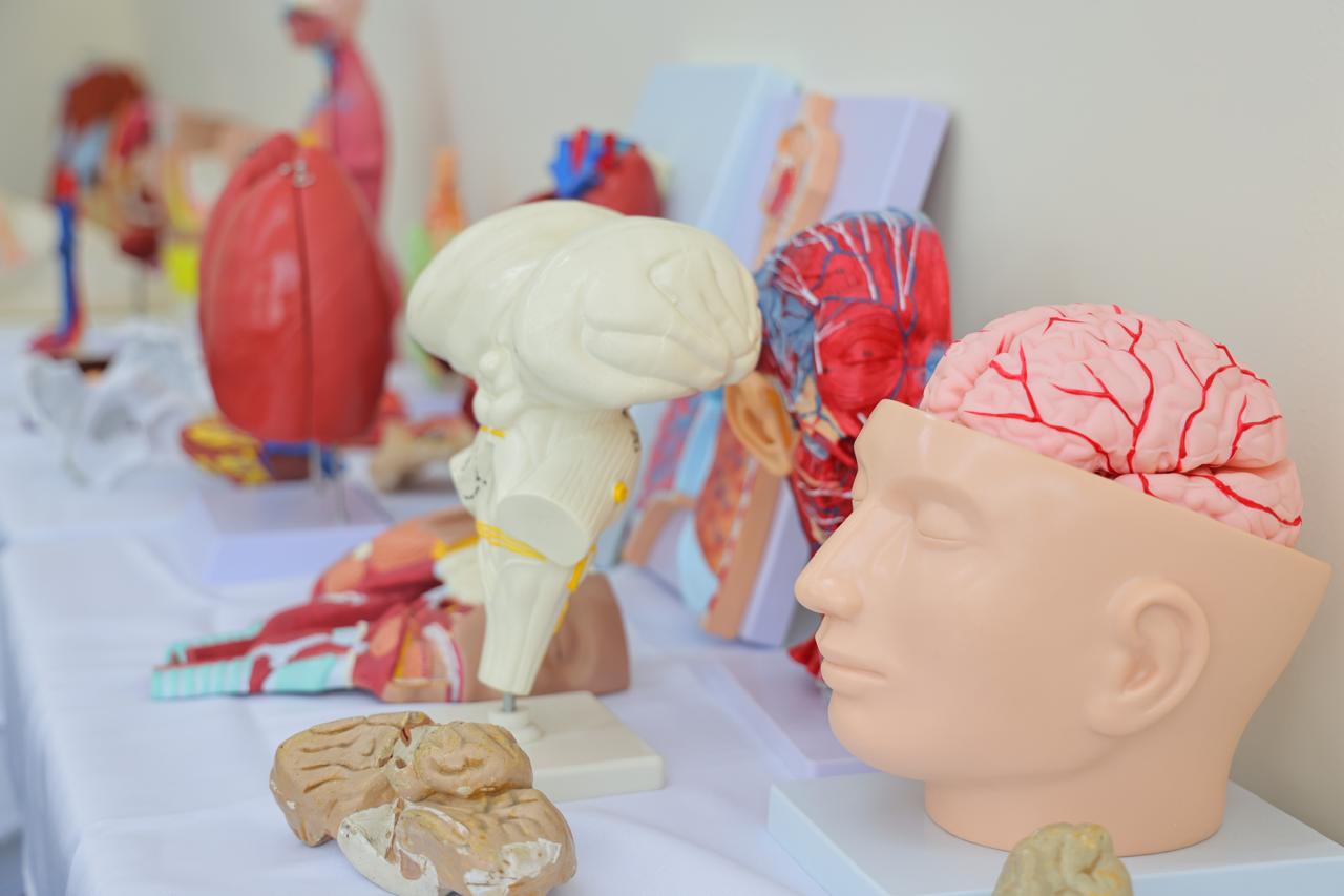 Simulation Centre