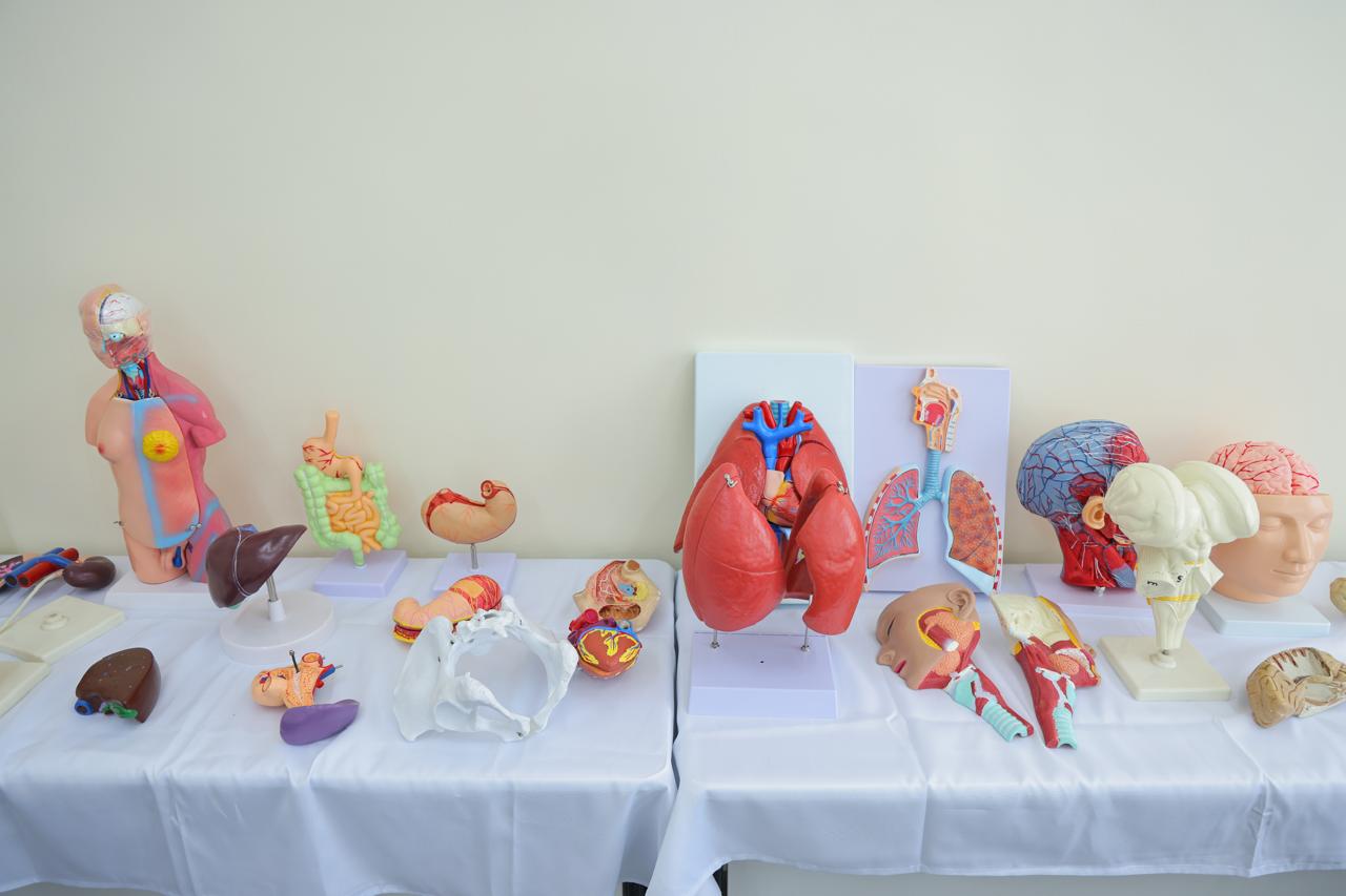 Simulation Centre