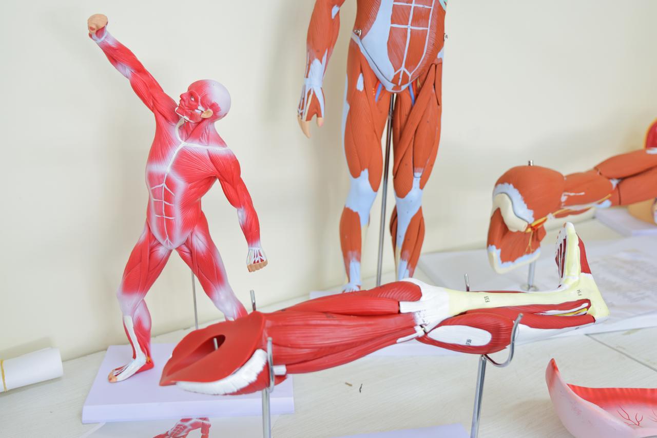NSUFM Simulation Centre