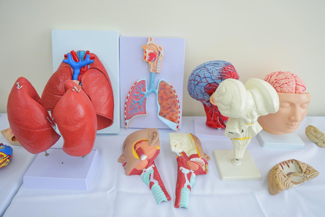 NSUFM Simulation Centre