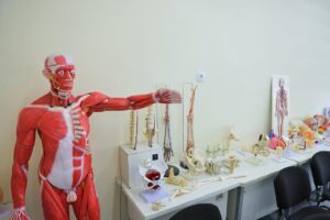 NSUFM Simulation Centre